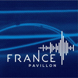 logo bleu france pavillon